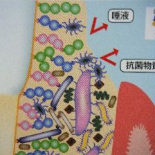 バイオフィルム除去の重要性