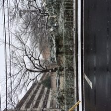 ゆーきだ♪コンコン♪