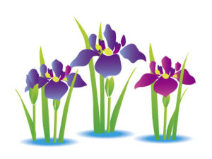 いいお天気ですね