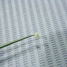 お口の中の世界・・・