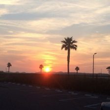 もう夏ですね♪