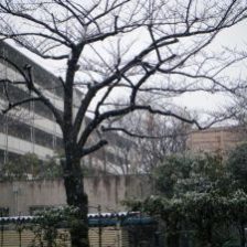 メンテナンス・・・ -日比谷歯科の予約システムについて-