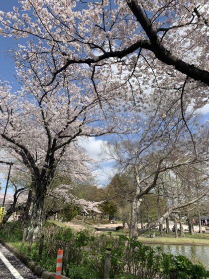 1年ぶりの再開!〜インプラントセミナー〜