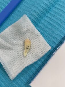 穏やかな1日・・・