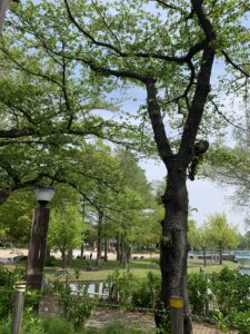 梅雨の前の暖かさ