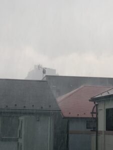 この時期は・・・