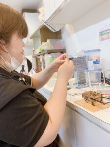 好きなんです!!!